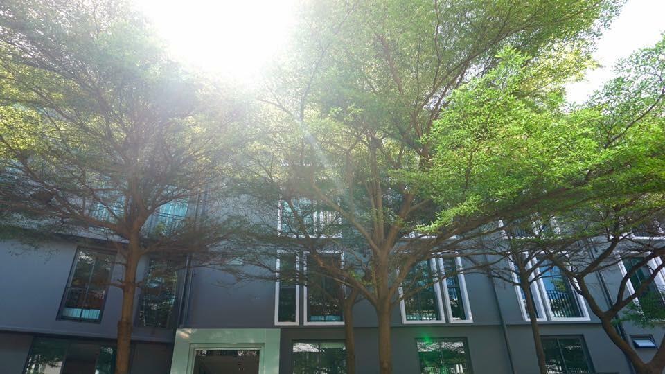 गेस्ट हाउस Bbhouse Khlongtan Bangkok